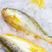 新鲜大黄鱼冰鲜深海鱼类黄鱼海鲜水产新鲜捕捞