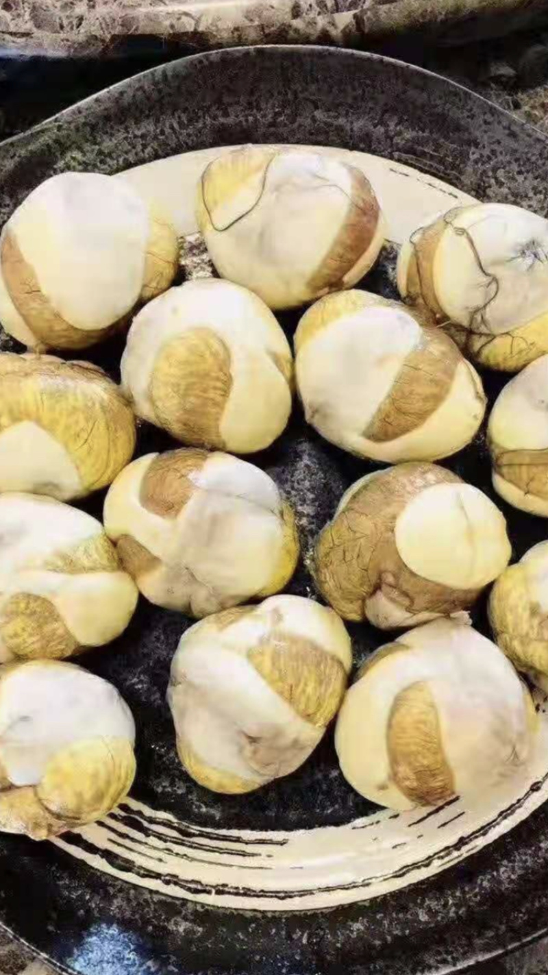 毛蛋.活珠子.半蛋，照蛋，孵化基地直批.欢迎老板考察