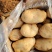 云南土豆大量上市让你一手货源到手丶品质有保证常年提供农品