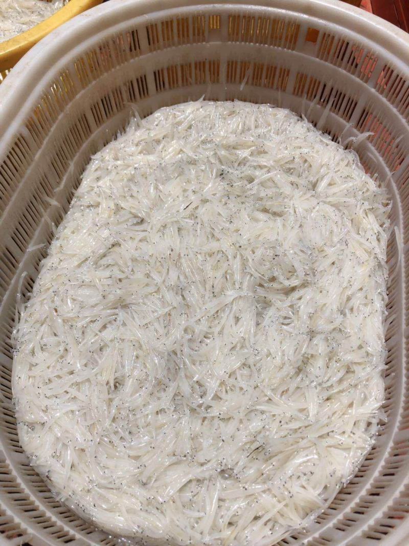 澜沧江银鱼，灯光网银鱼，银鱼干