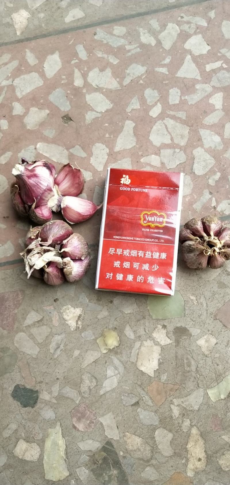 精品红蒜欢迎各位卖家前来采购