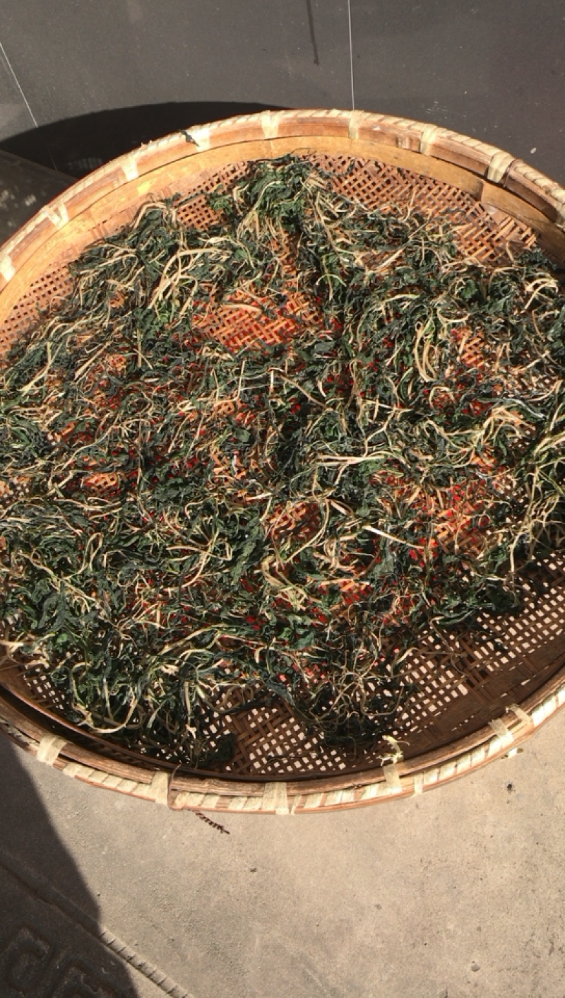 脱水马兰干。