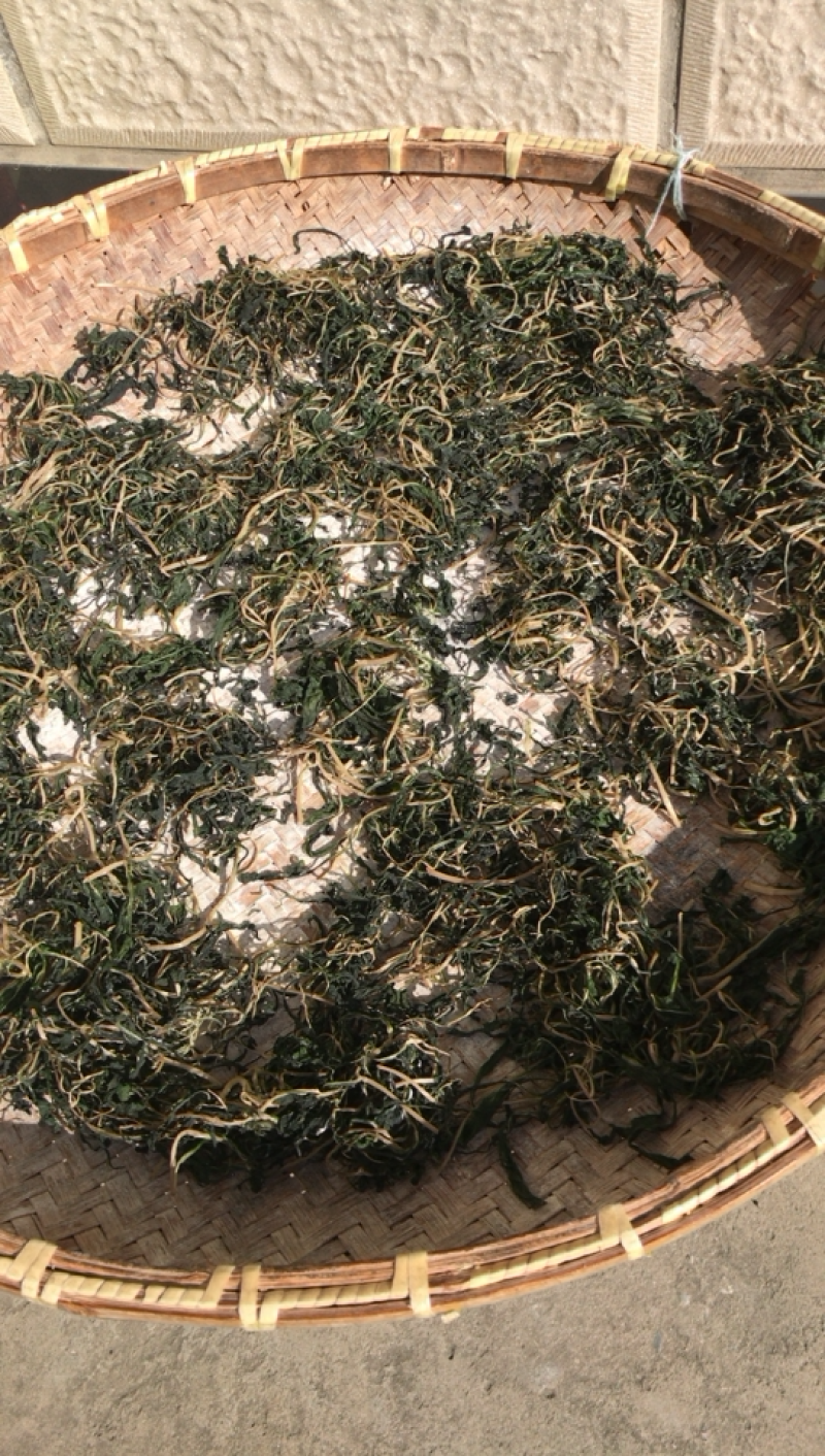 脱水马兰干。