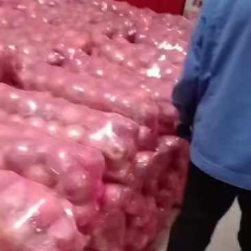中条山红富士