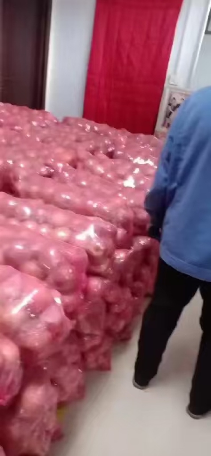 中条山红富士