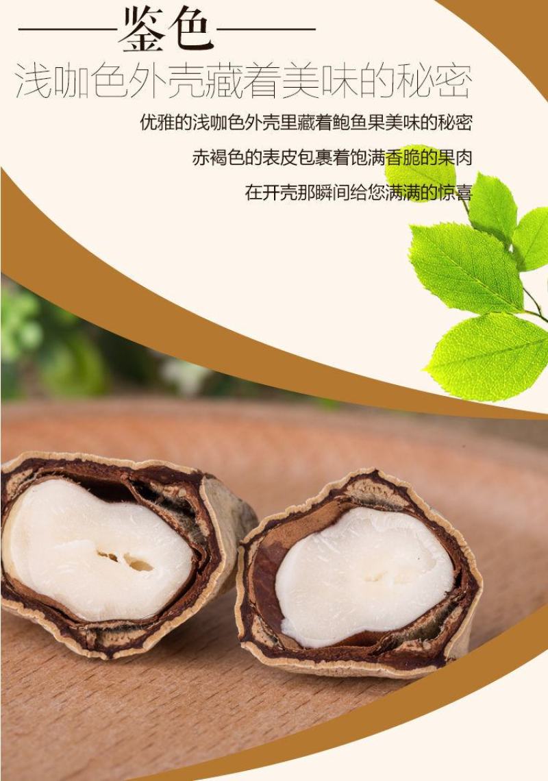 【一件代发】鲍鱼果新疆坚果富晒沙漠果原味散装零食超值包邮