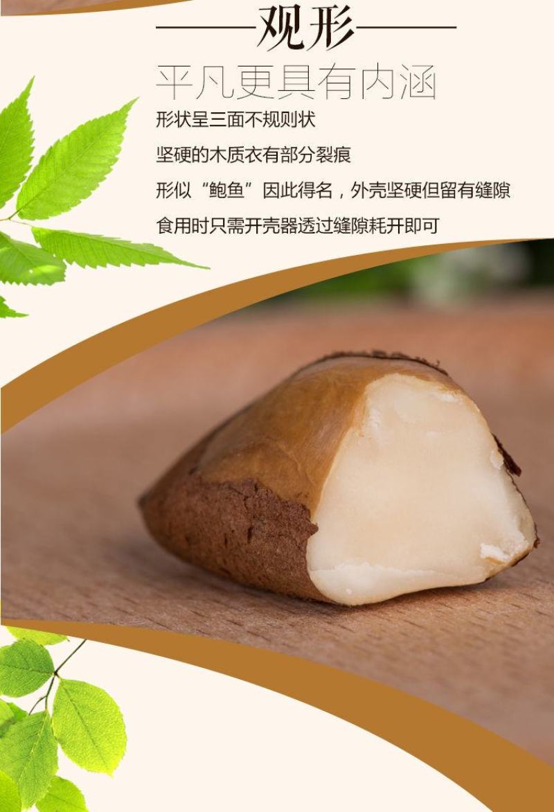 【一件代发】鲍鱼果新疆坚果富晒沙漠果原味散装零食超值包邮