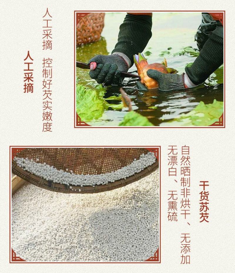 新货鸡头米干货苏州苏芡实软糯易煮无臭味白欠实仁芡实米包邮