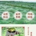 新货鸡头米干货苏州苏芡实软糯易煮无臭味白欠实仁芡实米包邮