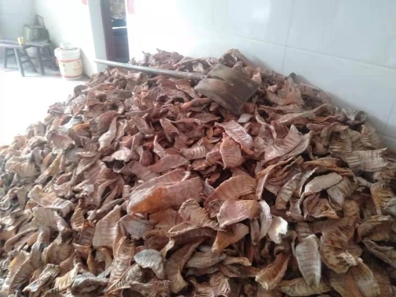 大量批发各种规格玉兰片