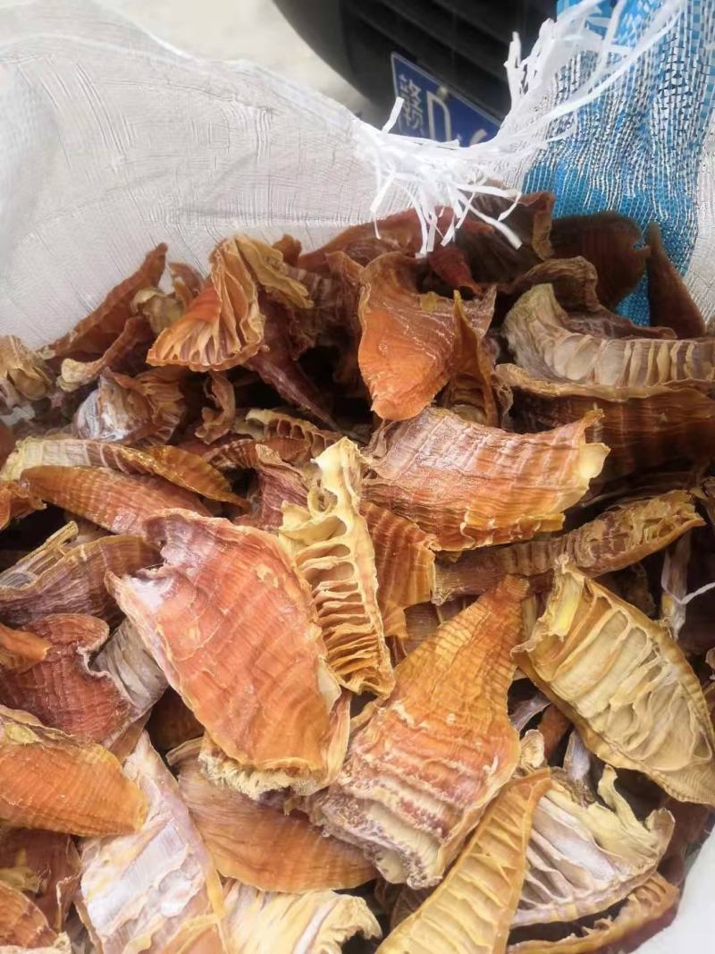大量批发各种规格玉兰片