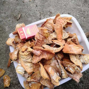 大量批发各种规格玉兰片