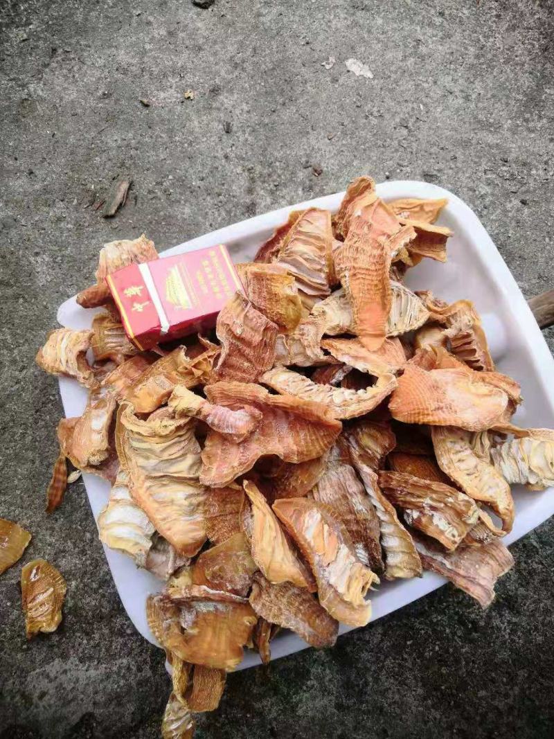 大量批发各种规格玉兰片