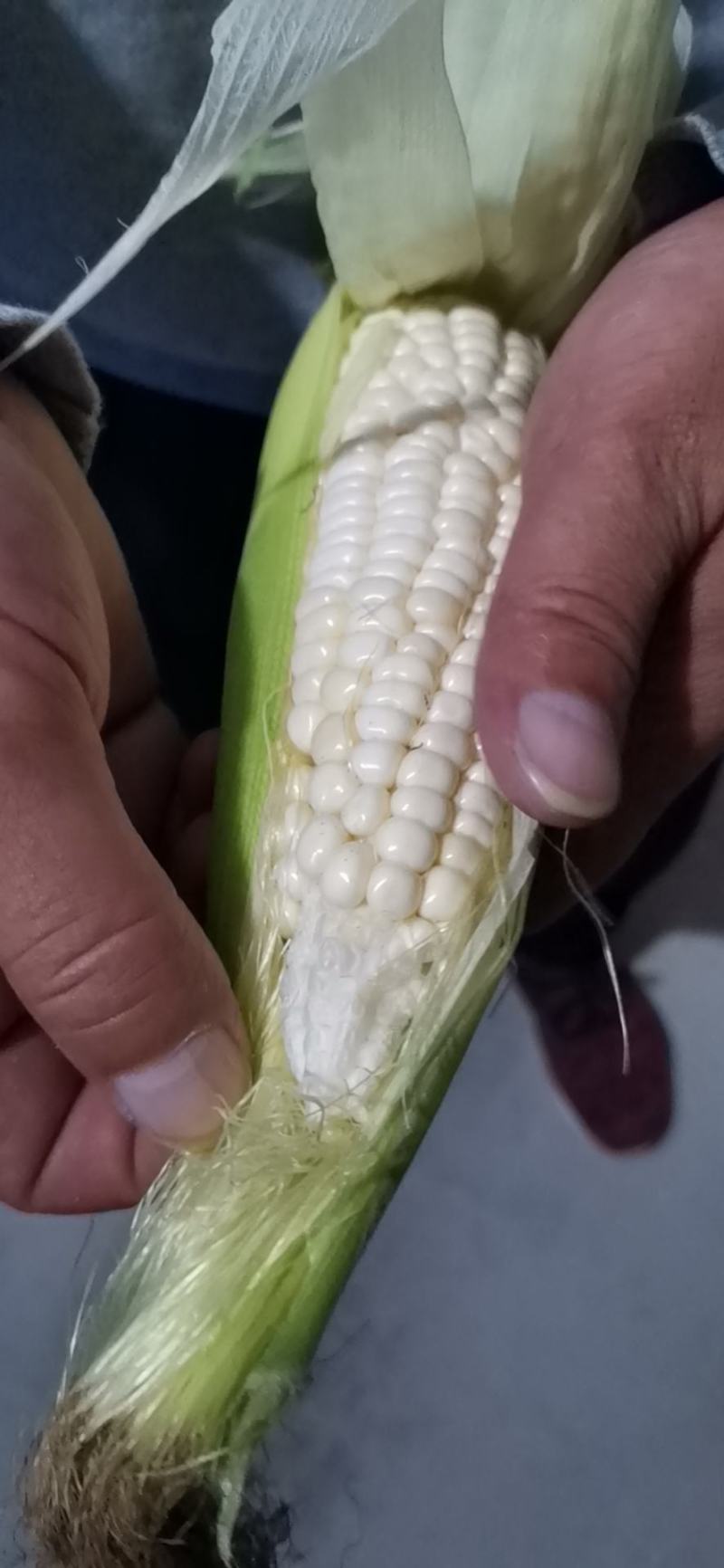甜糯玉米，产地直发，口感香甜。