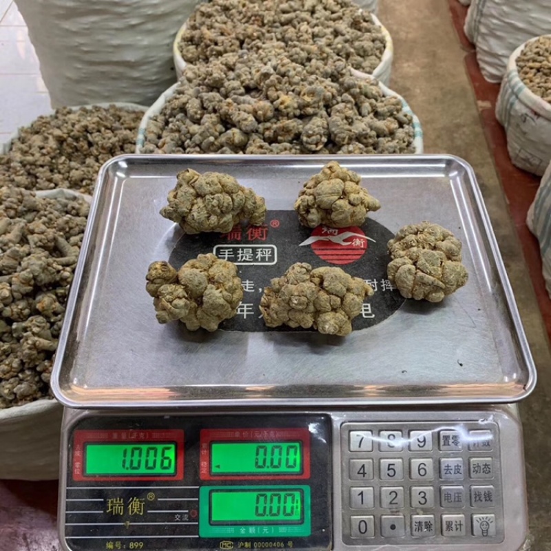 云南文山三七
