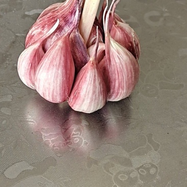大蒜