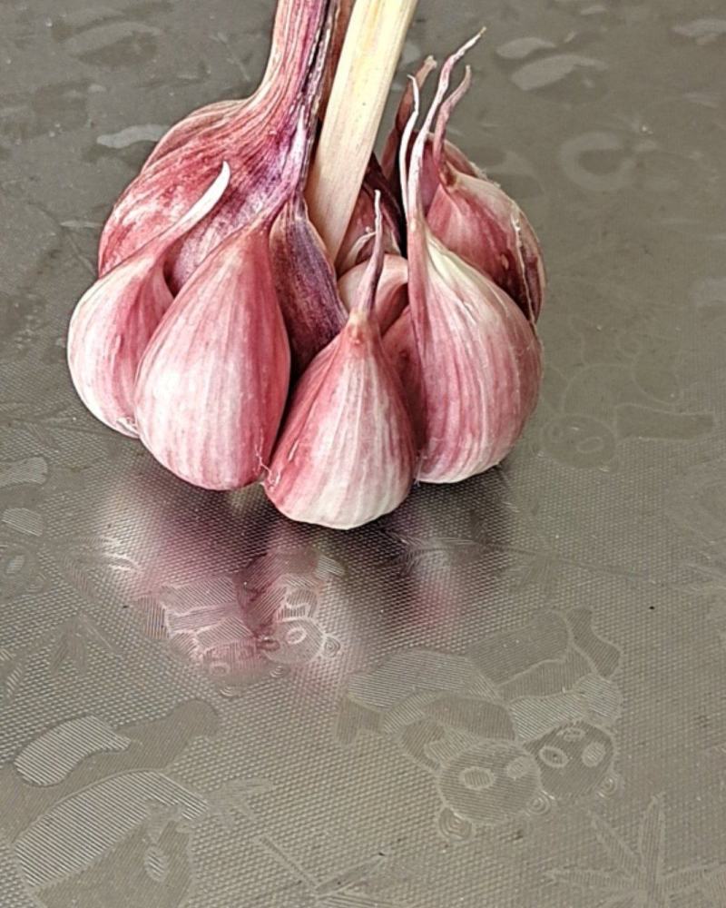 大蒜