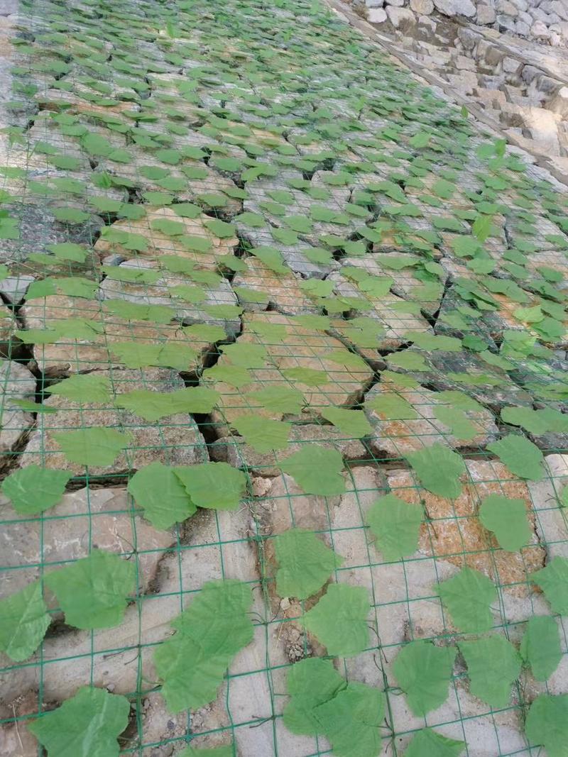 仿真绿植围挡绿叶篱笆爬山虎植物墙绿萝栅栏垂直绿化围栏叶子