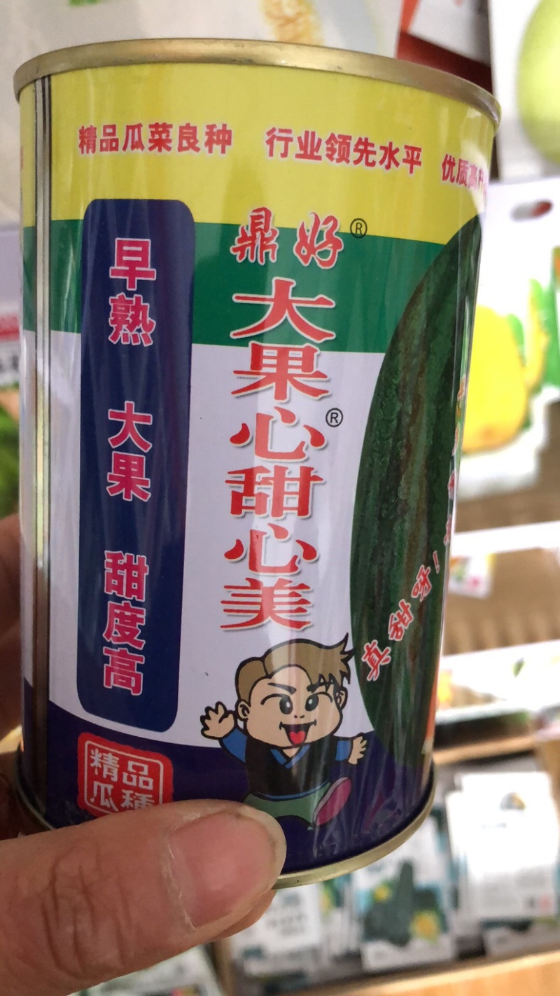 抗重茬禧炫风西瓜种子大果抗病高产一代杂交种子