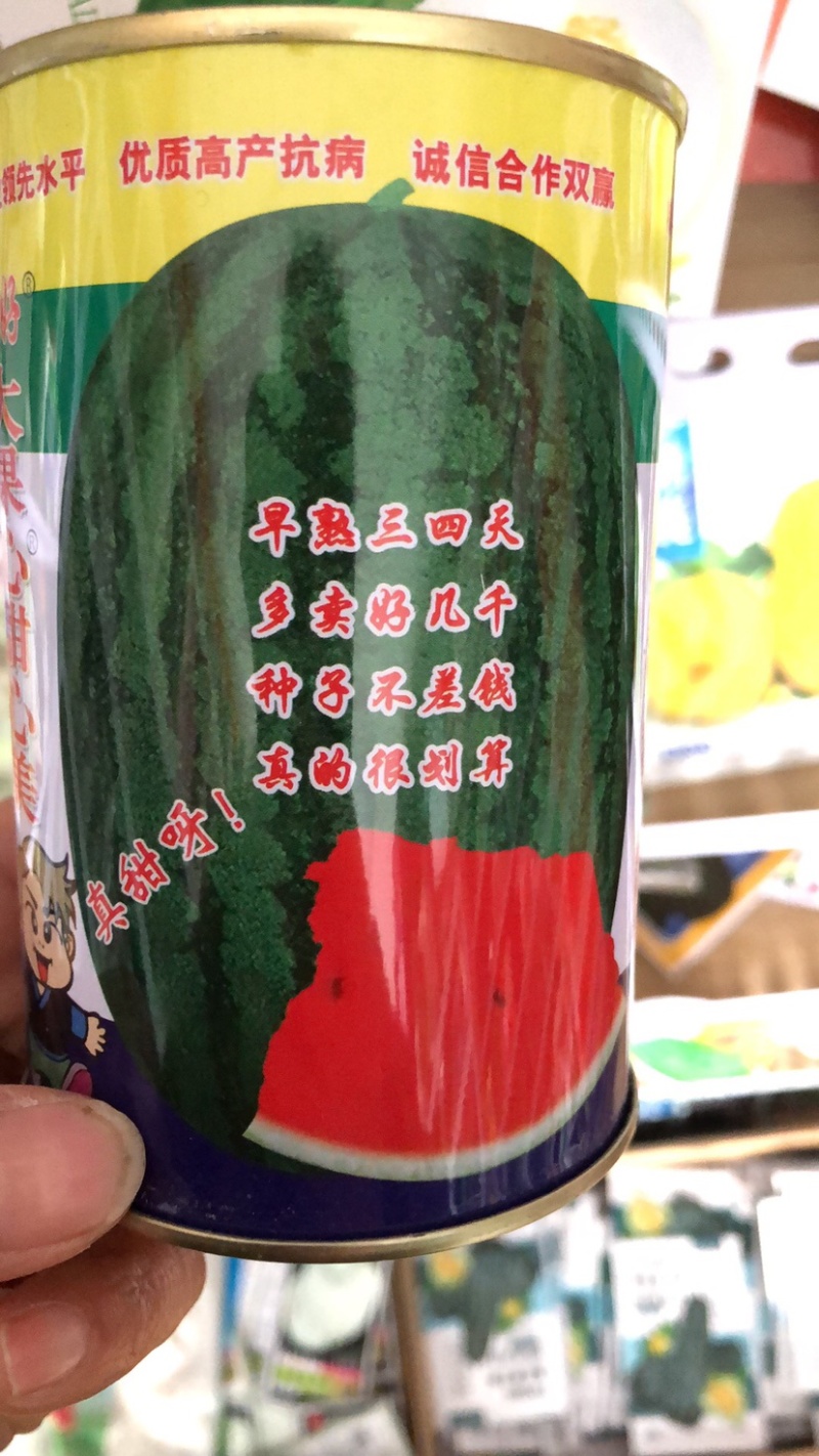 抗重茬禧炫风西瓜种子大果抗病高产一代杂交种子