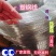 大棚拉绳塑钢线压膜绳托膜绳百香果葡萄架拉绳搭架专用钢塑线