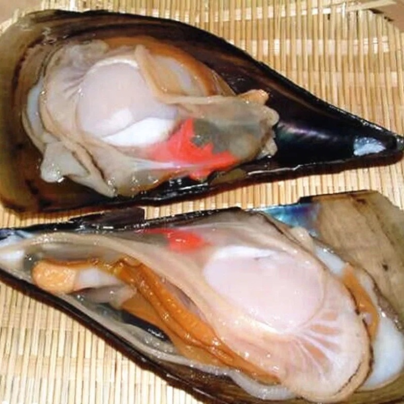 新鲜海鲜青贝鲜活大带子绿甲绿贝海鲜水产贝类
