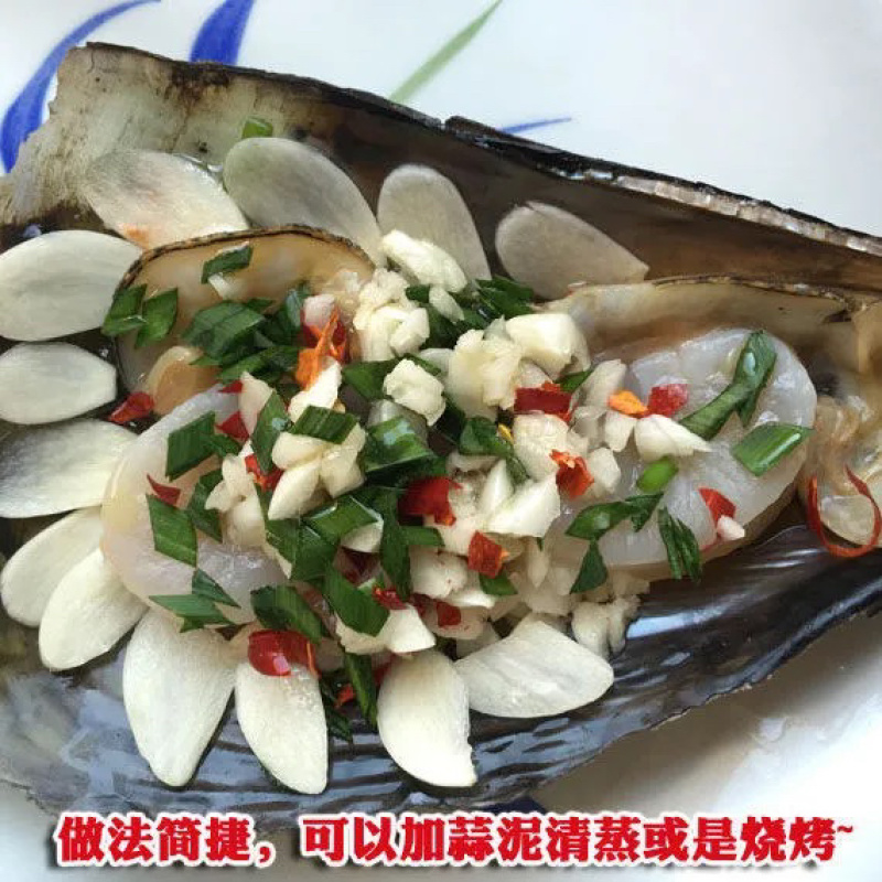 新鲜海鲜青贝鲜活大带子绿甲绿贝海鲜水产贝类