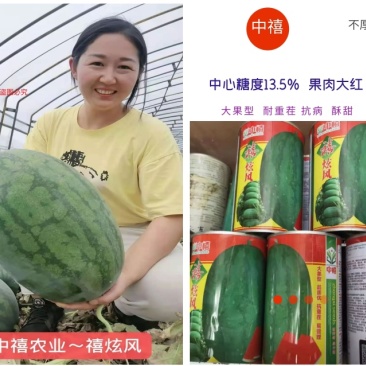抗重茬禧炫风西瓜种子大果抗病高产一代杂交种子