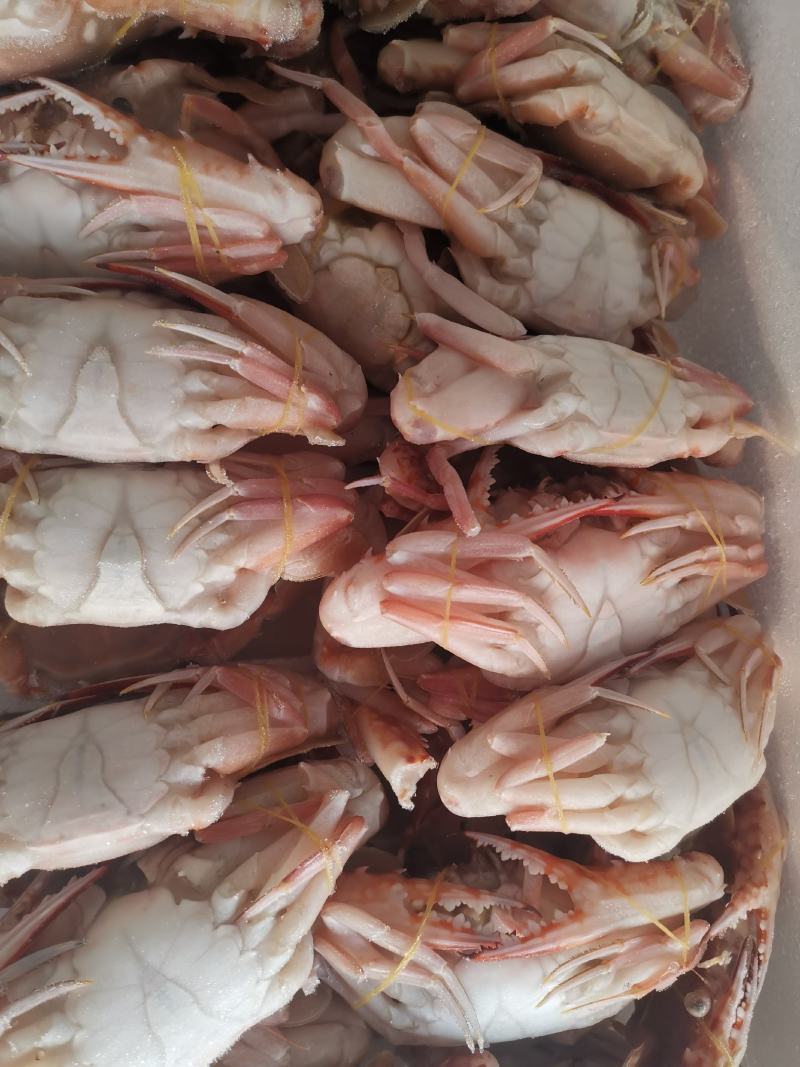 螃蟹红蟹肉蟹，香辣蟹，酒店自自助餐都可以用