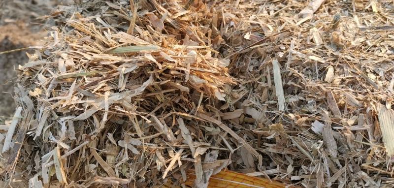 玉米秸秆饲料级别