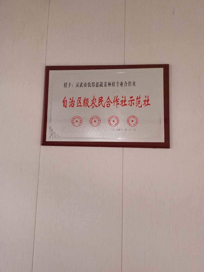 精品万亩大地头茬韭菜产地直销无中间商大量供应