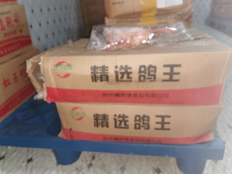 6-7两精品冻鸽子价格超低