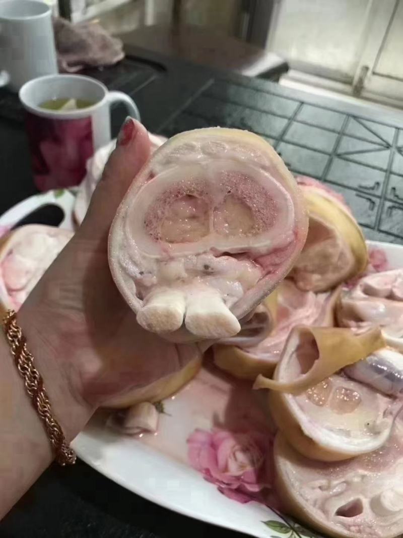 火烧毛牛蹄，实图拍摄，清洗干净，质量保证，手续齐全！！！