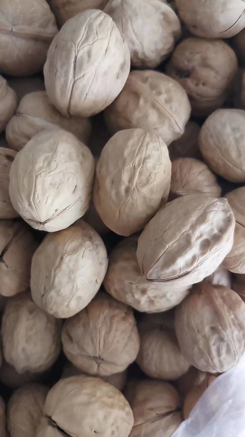厂家直供新疆薄皮核桃，批发幸福核桃质优价廉