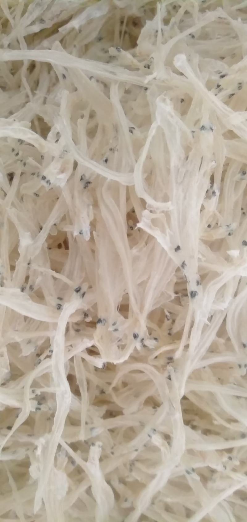 澜沧江银鱼，灯光网银鱼，银鱼干