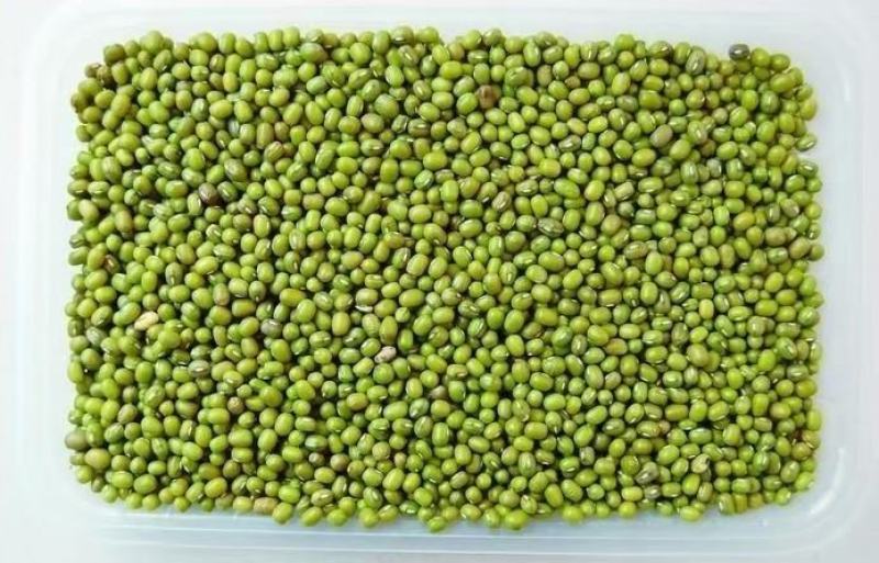 绿豆精品绿豆批发江湖地摊经济货源整件起批