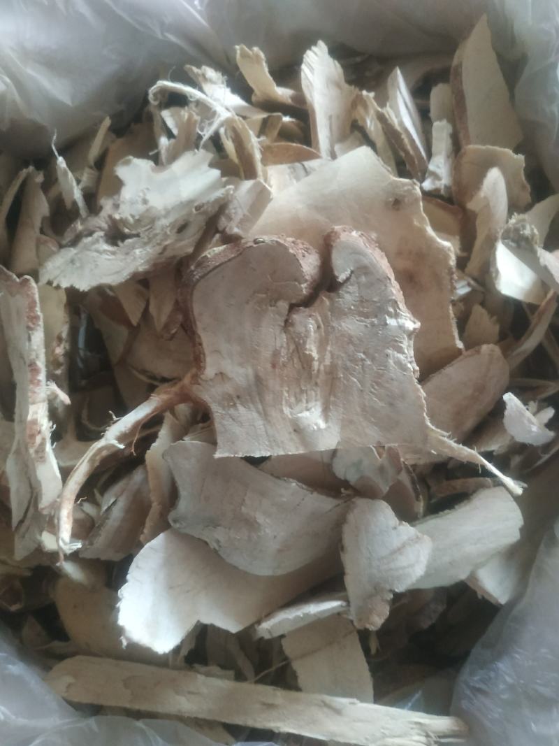 岗梅根～新货～量大优惠～～质量保证～欢迎咨询采购