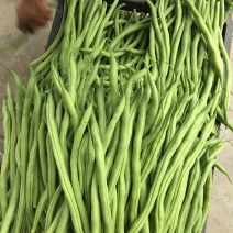 无筋豆大量上市，承接社区平台，电商，批发市场，拖板车