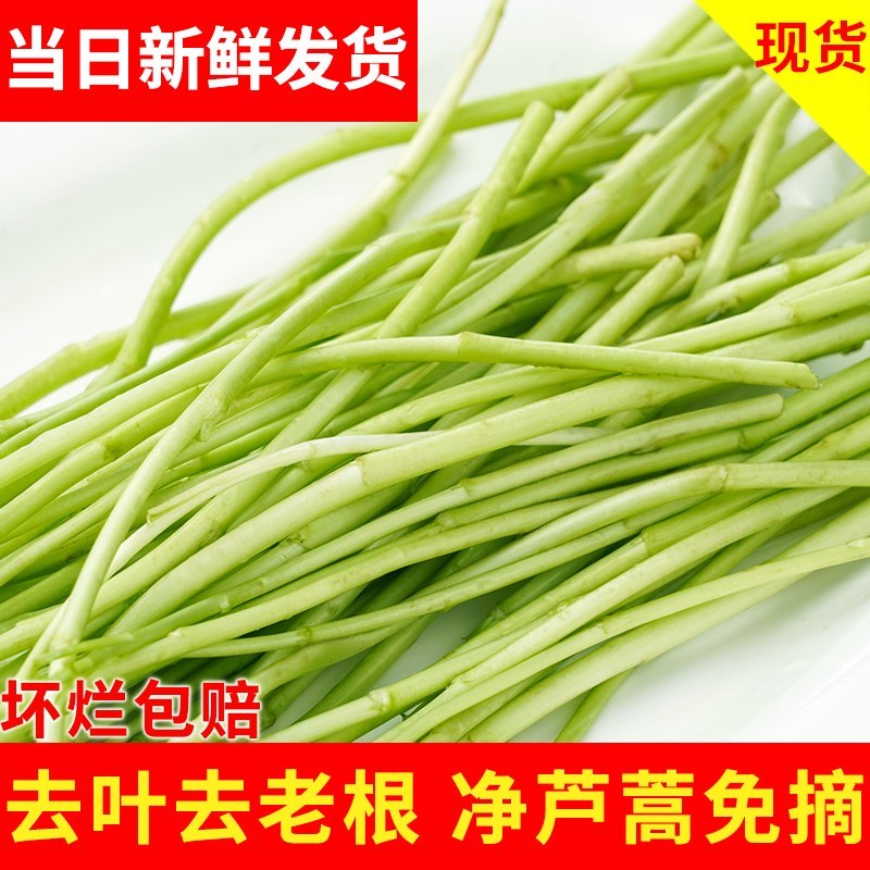 精品芦蒿新鲜蔬菜藜蒿支持一件代发包邮