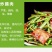 精品芦蒿新鲜蔬菜藜蒿支持一件代发包邮