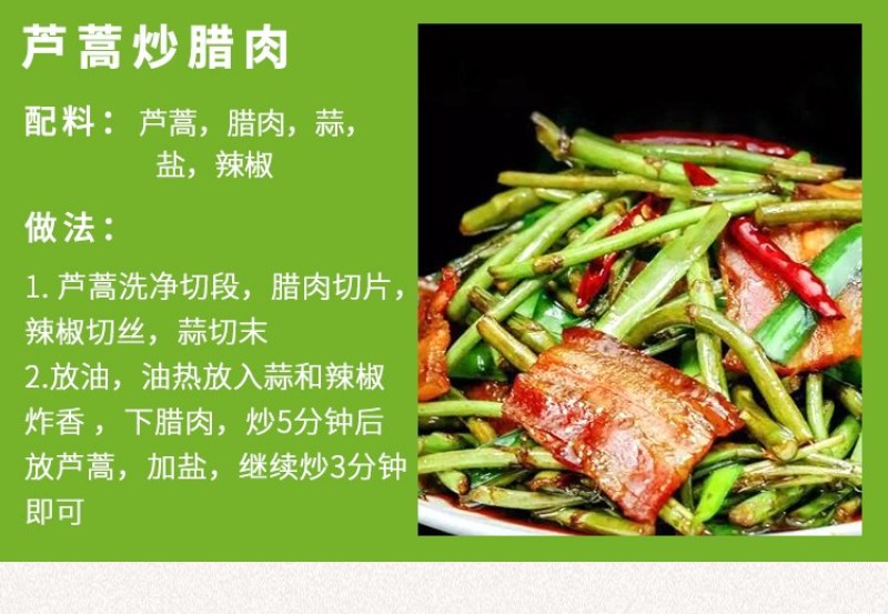 精品芦蒿新鲜蔬菜藜蒿支持一件代发包邮