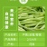 精品芦蒿新鲜蔬菜藜蒿支持一件代发包邮