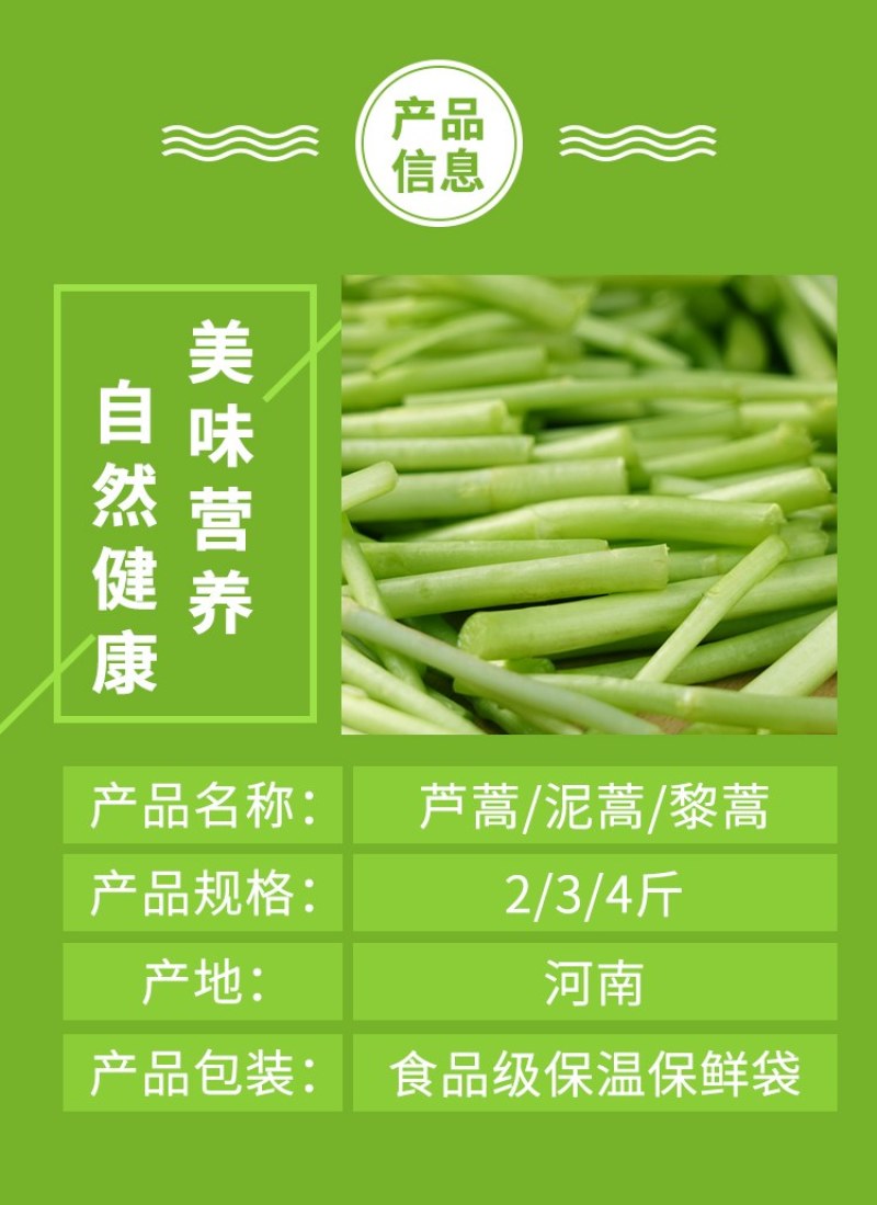 精品芦蒿新鲜蔬菜藜蒿支持一件代发包邮