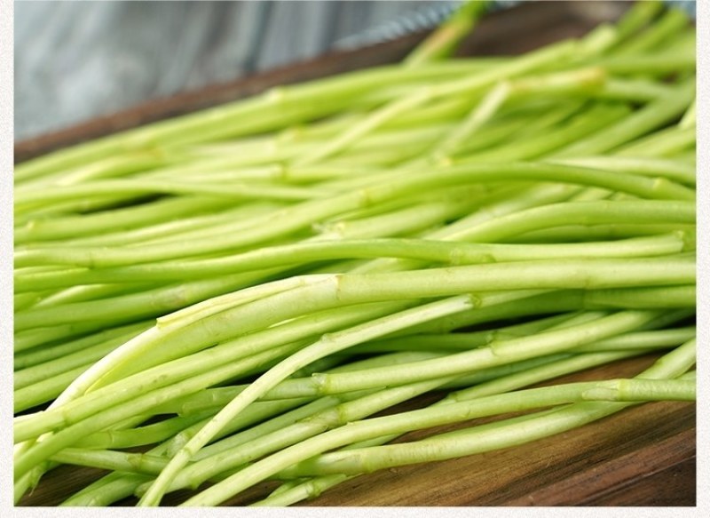 精品芦蒿新鲜蔬菜藜蒿支持一件代发包邮