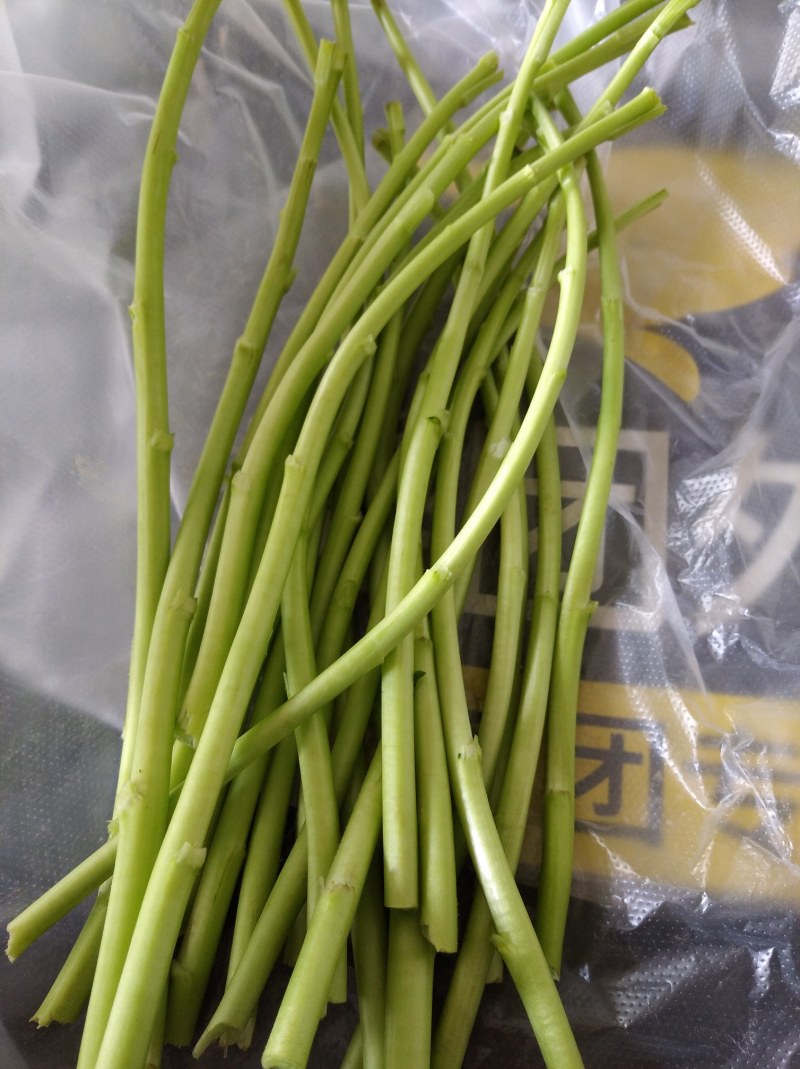 精品芦蒿新鲜蔬菜藜蒿支持一件代发包邮