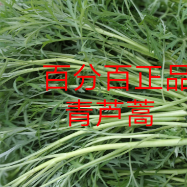 精品芦蒿新鲜蔬菜藜蒿支持一件代发包邮