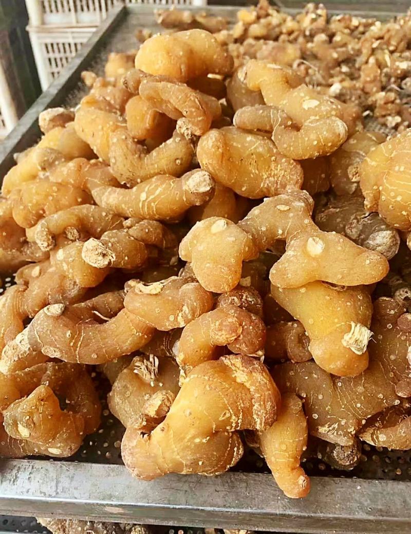 黄精干货黄精干货黄精干货