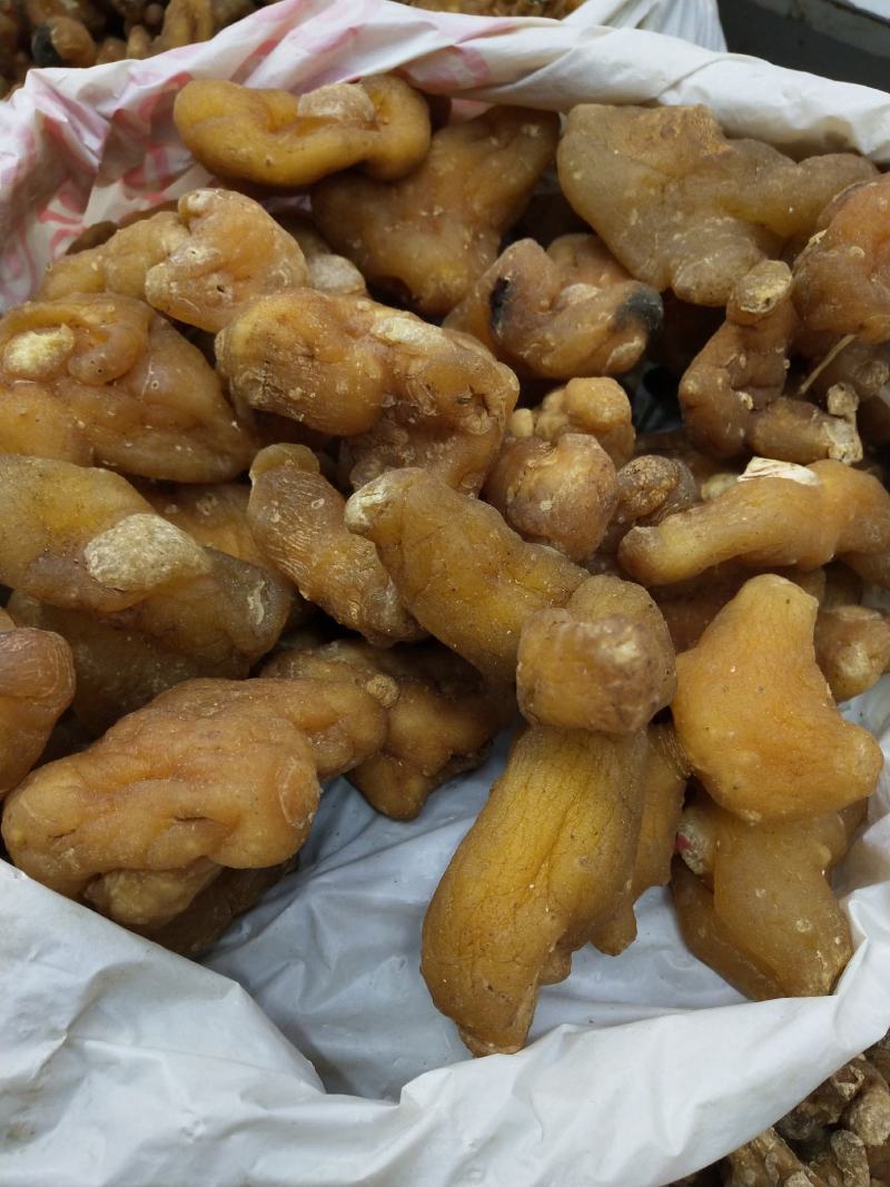 黄精干货黄精干货黄精干货