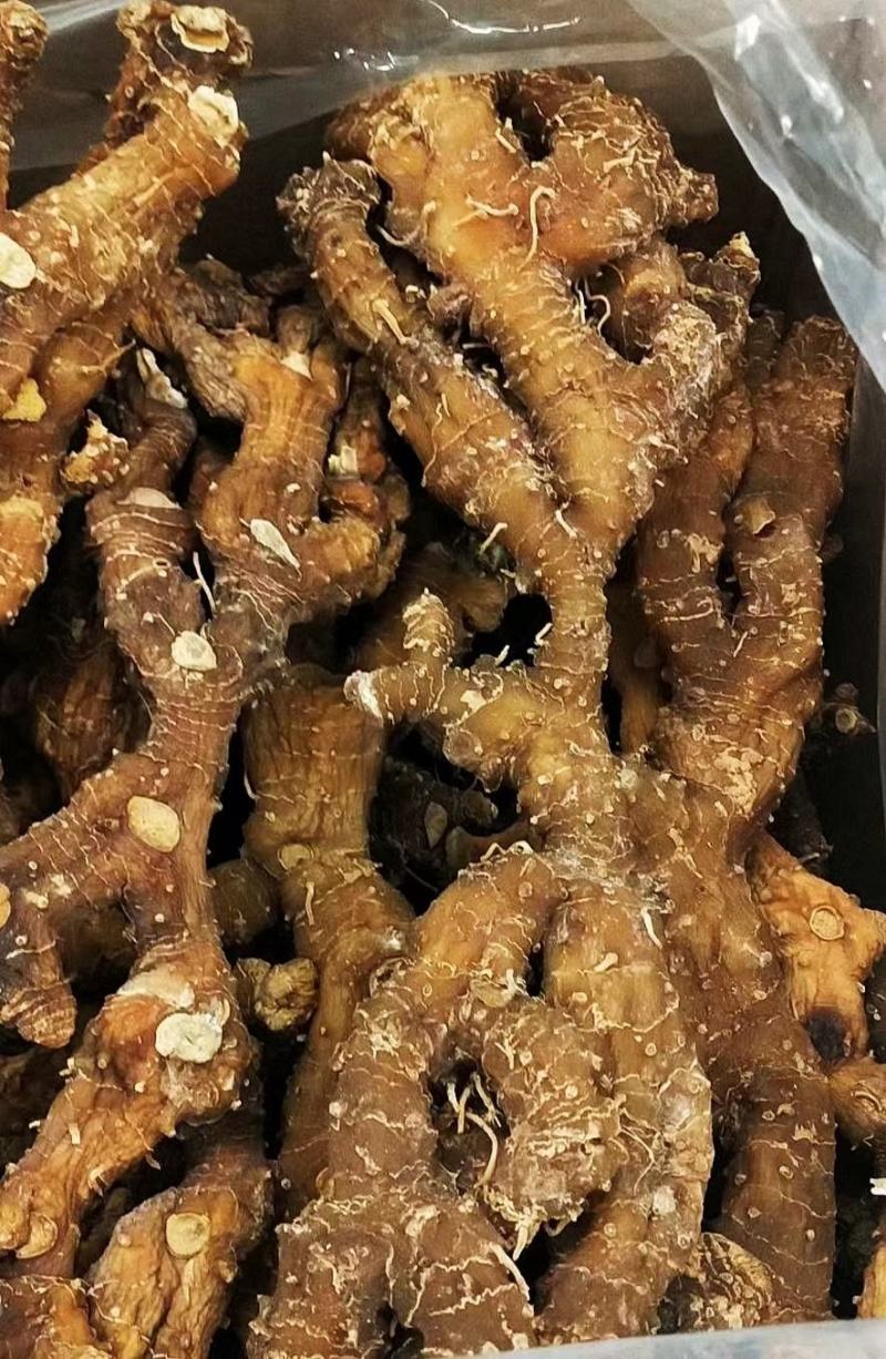 黄精干货黄精干货黄精干货