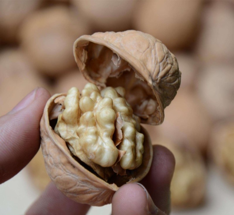 厂家直供新疆薄皮核桃，批发幸福核桃质优价廉